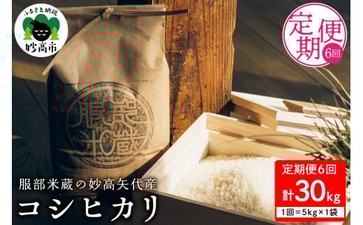 【10月中旬より発送】【定期便】令和7年産 服部米蔵の妙高矢代産コシヒカリ 5kg×6回（計30kg）
