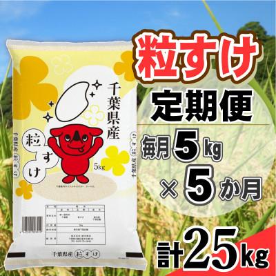 ふるさと納税 大網白里市 【毎月定期便】粒すけ 精米 5kg(5kg×1袋)全5回