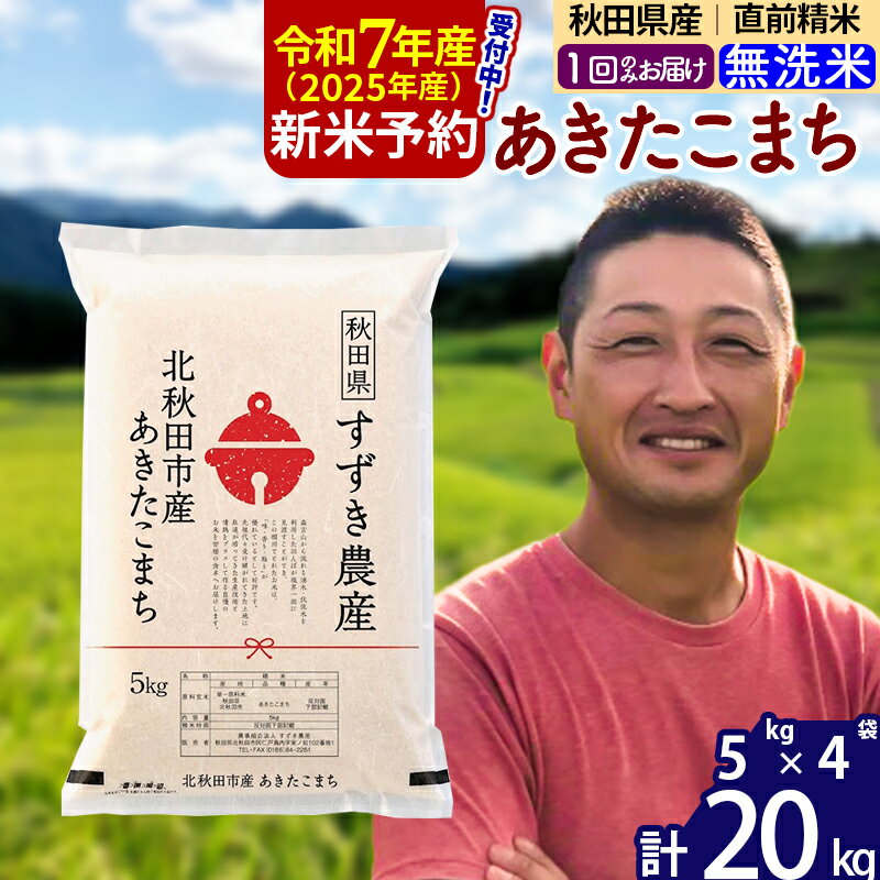【ふるさと納税】※令和7年産 新米予約※秋田県産 あきたこまち 20kg【無洗米】(5kg小分け袋)【1回のみお届け】2025年産 お米 すずき農産