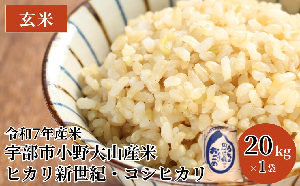 令和7年産 宇部市小野 大山産米 玄米20kg | 玄米 20kg 健康 ビタミン 豊富 食生活 ダイエット コシヒカリ 湧水 大山米 米 ご飯 おにぎり お弁当 水 令和6年産 山口県 宇部市
