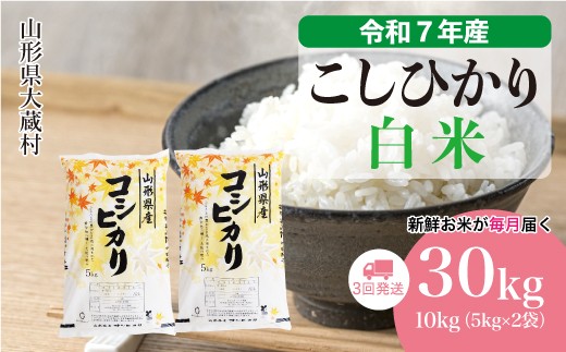 ＜令和7年産米＞ こしひかり 【白米】 定期便 30kg （10kg×1ヶ月間隔で3回お届け）＜配送時期選べます＞