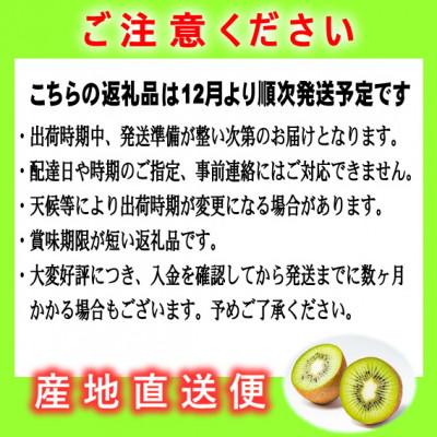 ふるさと納税 八女市 先行受付【博多完熟娘(うれっこ)キウイ3.6kg】JAふくおか八女より産地直送※12月より順次発送 |  | 03