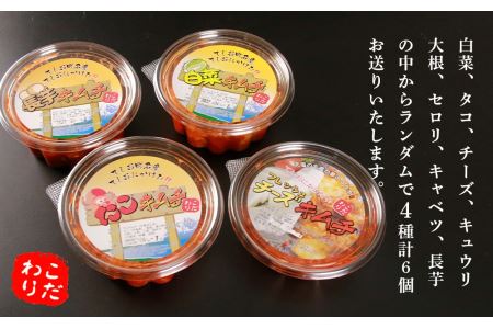 てしおキムチ工房・キムチおまかせランダム6個セット★ ＜天塩の國＞