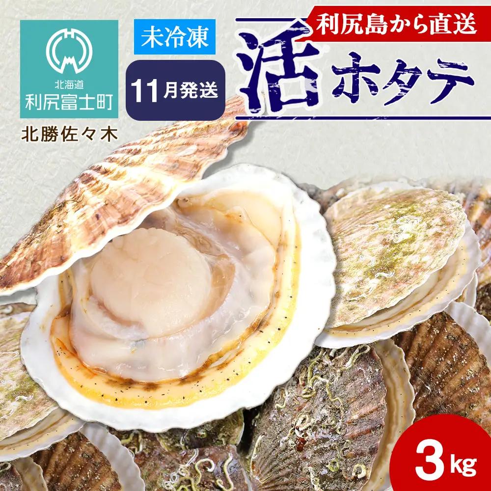 活ホタテ3kg！~2026年11月発送~北海道利尻島から直送！【北勝佐々木】