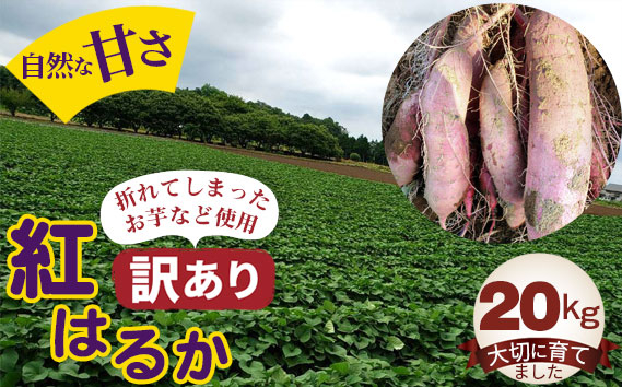 
No.408 【訳あり】紅はるか20kg ／ お芋 甘い さつまいも 茨城県
