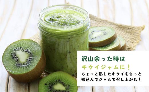 画像はイメージです。返礼品以外のものは含まれません。