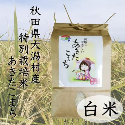 ふるさと納税 大潟村 令和7年産　特別栽培米あきたこまち　白米2kg