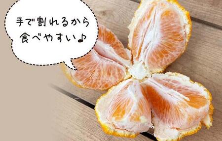 不知火 訳あり それでも 有田の不知火 箱込 2.5kg (内容量約 2.3kg) サイズミックス 和歌山県産 産地直送［みかんの会］