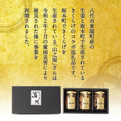 ふるさと納税 八代市 生姜ときくらげの佃煮 3本セット 生姜_065-4001-D |  | 01