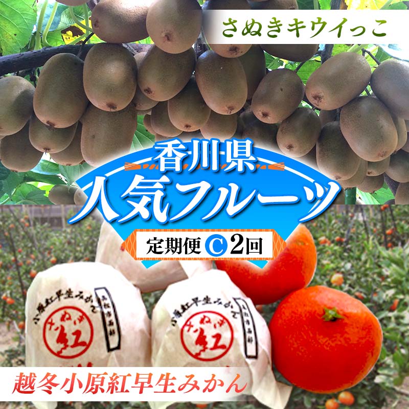【ふるさと納税】【人気フルーツ定期便C 2回】さぬきキウイっこ 約1kg 越冬小原紅早生みかん (個包装) 約1kg キウイ みかん 旬 フルーツ 果物 国産 香川県 F5J-929