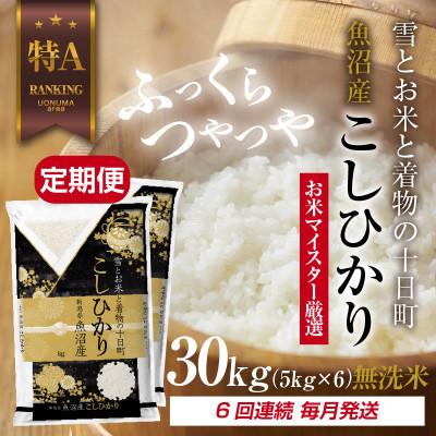ふるさと納税 十日町市 【毎月定期便】[無洗米]魚沼産 コシヒカリ 30kg 精米 (お米の美味しい炊き方ガイド付)全6回