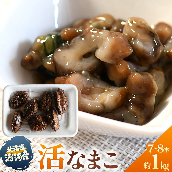 【ふるさと納税】【先行受付開始！】北海道浦河産『活なまこ』1kg※不在日・日付指定対応不可※[06-1591] 北海道 浦河 ふるさと納税 北海道産 浦河産 活なまこ ナマコ 直送 なまこ酢 1kg 送料無料