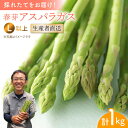 【ふるさと納税】【2025年2月中旬より順次発送】朝どれ 春芽アスパラガス 1kg (Lサイズ以上)【前平農園】 [BCG009] 新鮮 採れたて グリーンアスパラガス グリーンアスパラ 野菜