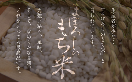 【新米・先行予約】幻のタンチョウ もち米 3kg 精米 令和6年 福井県産 【米 餅米 ブランド米 3キロ 精米 たんちょう 赤飯 餅 】【2024年10月下旬より順次発送】 [e71-a003]