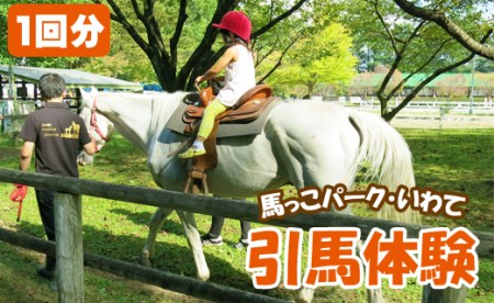 引馬体験 1回分 チケット 【馬っこパーク・いわて】／ ふれあい 引馬 引き馬 乗馬 体験 乗馬体験 馬 ホース ホースセラピー 動物 アニマル アニマルセラピー セラピー 癒し 体験チケット 観光 遊び あそび お出掛け お出かけ おでかけ アクティビティ 子供 子ども こども 大人 おとな おすすめ
