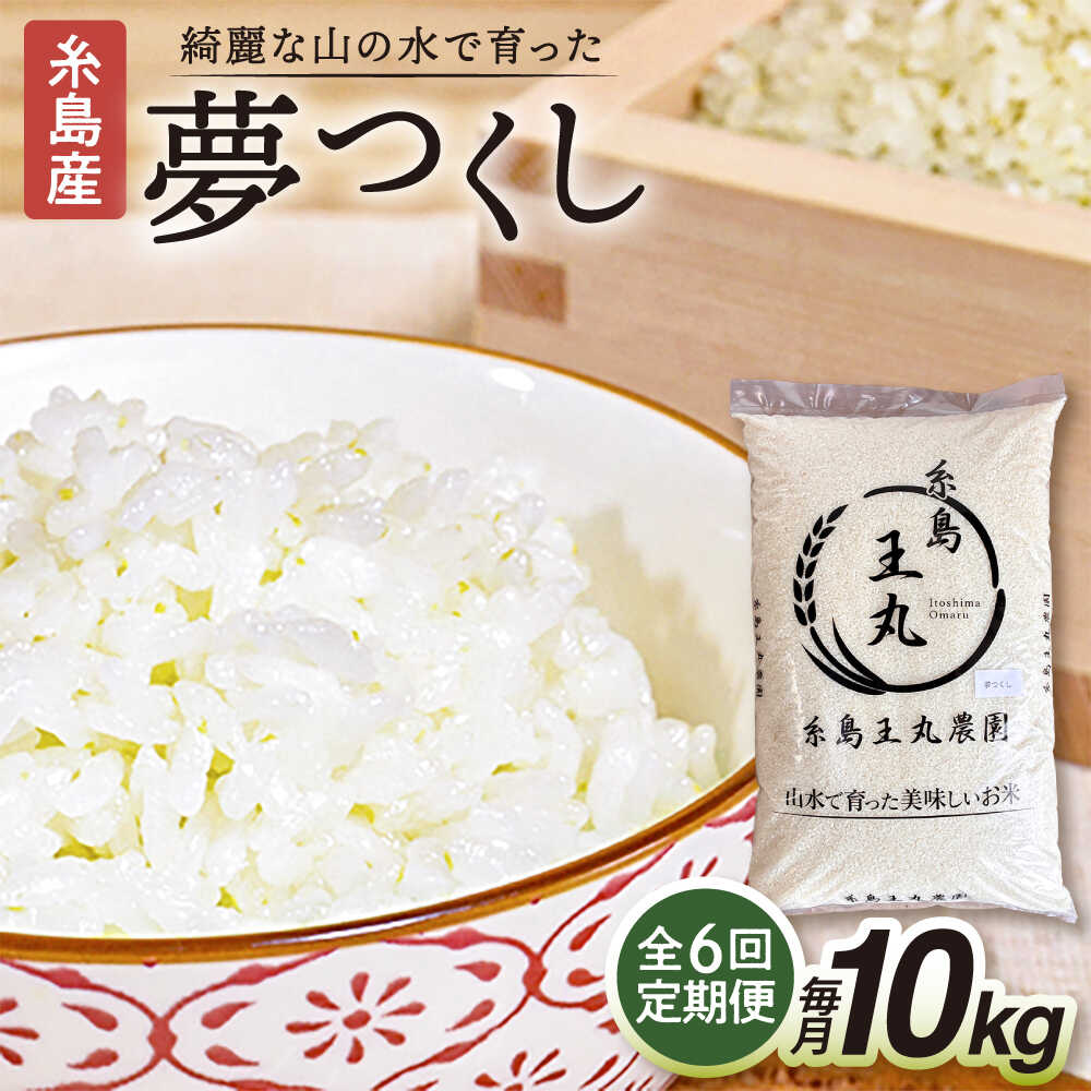 【ふるさと納税】【全6回定期便】糸島産 夢つくし 10kg × 6回 (月1回) 計60kg 糸島市 / 糸島王丸農園（谷口汰一）【いとしまごころ】[AAZ007] 常温 米 白米 10万円100000円
