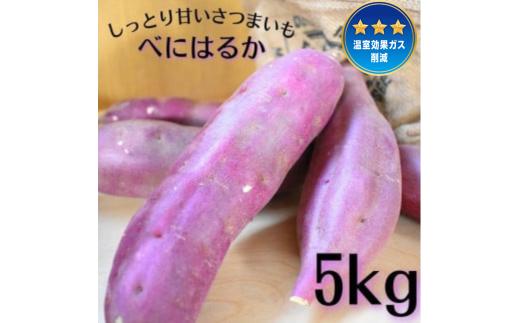 しっとり甘いさつまいも！「特別栽培農産物」べにはるか　5kg
