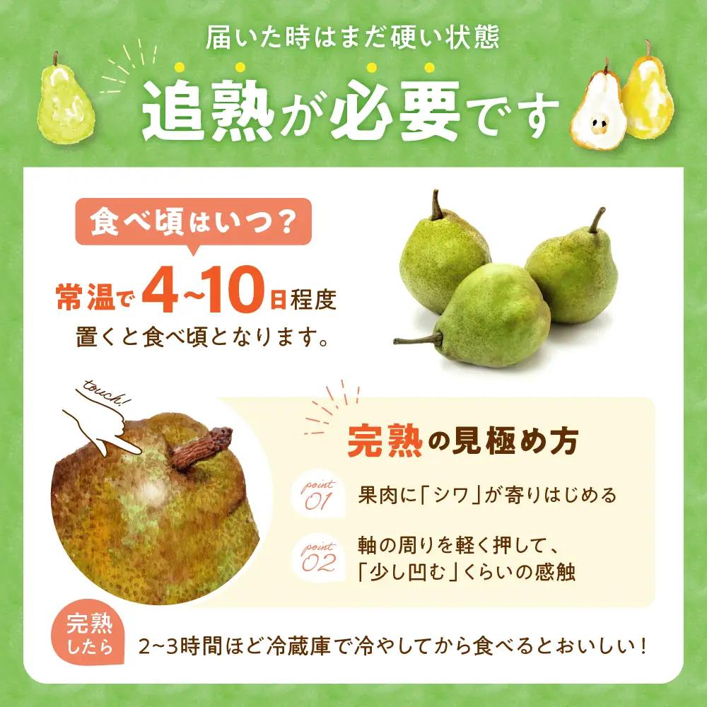【2026年産】 ラ・フランス 5kg（8-25玉）秀品 洋なし