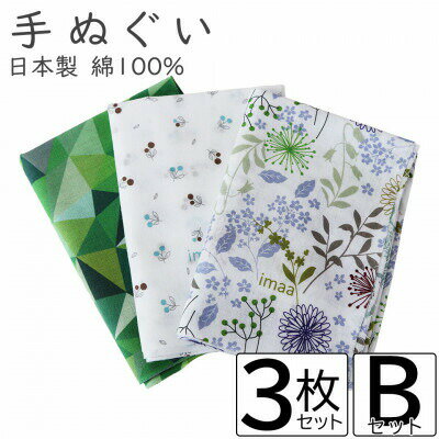 【ふるさと納税】手ぬぐい 3枚 Bセット【VB01462】