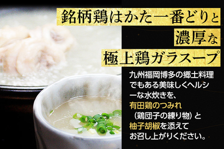 博多水炊き（ありた鶏切り身･つみれ）セット4~6人前 お取り寄せグルメ お取り寄せ 福岡 お土産 九州 福岡土産 取り寄せ グルメ 福岡県