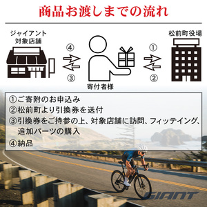 【フレームのみ】GIANT TCR ADVANCED SL FRAMESET (カラー：Atmosphere) ｜ ﾊﾞｲｸ自転車ﾊﾞｲｸ自転車ﾊﾞｲｸ自転車ﾊﾞｲｸ自転車 【GIA002_a】