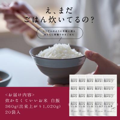 ふるさと納税 岐阜市 炊かなくていいお米 白飯・20個セット |  | 03