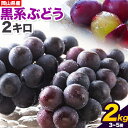 【ふるさと納税】【先行予約】黒系ぶどう 2kg ピオーネ オーロラブラック 岡山県産 3房 ~ 5房《2025年9月上旬-9月末頃出荷》ひらた農園 黒系ぶどう 送料無料 岡山県 浅口市 ぶどう フルーツ 果物 贈り物 ギフト 国産 くだもの 果物 青果物 食べ比べ セット