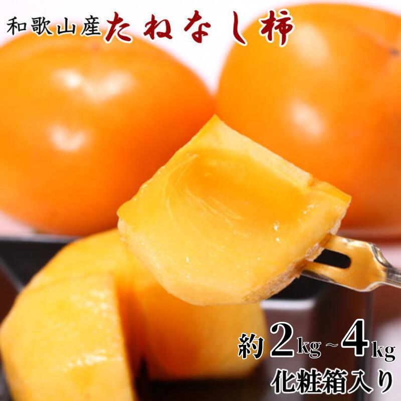 【ふるさと納税】 柿 たねなし柿 和歌山 / 種無し かき たね 化粧箱 贈答 2kg 4kg【2026年10月上旬～2026年11月上旬頃に順次発送いたします。】
