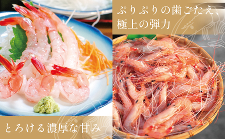 【数量限定】鹿児島県産 天然たかえび（生食用） 約1kg ［Lサイズ］ 薩摩甘エビ ヒゲナガエビ 刺身 海鮮 海老 海鮮丼 塩焼き 冷凍 丸航丸 南さつま市 野間池