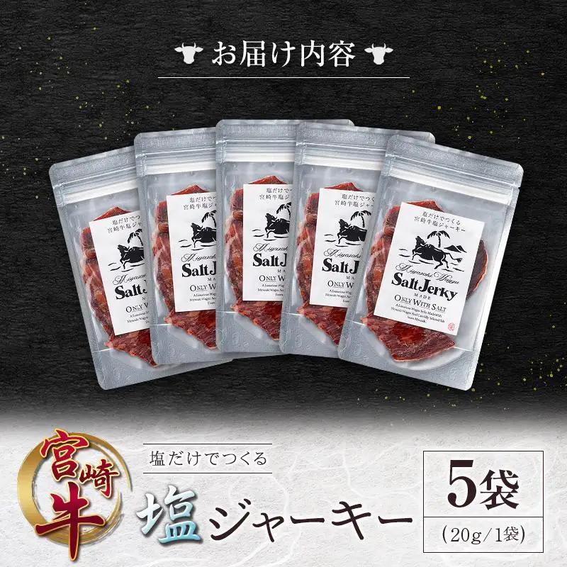 塩だけでつくる 宮崎牛 塩ジャーキー 5袋（20g×5袋）ブランド牛 ビーフジャーキー おつまみ 珍味 グルメ 干し肉 宮崎県産
