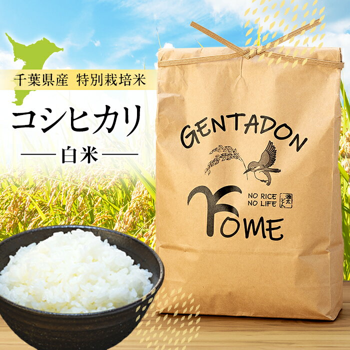 【ふるさと納税】特別栽培米　コシヒカリ（白米）4.5kg 〜 27kg 令和8年産米 白米 精米 米 ふるさと 納税 千葉県 長生村