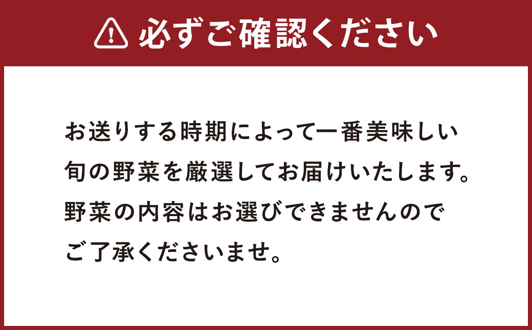 野菜 セット 8品