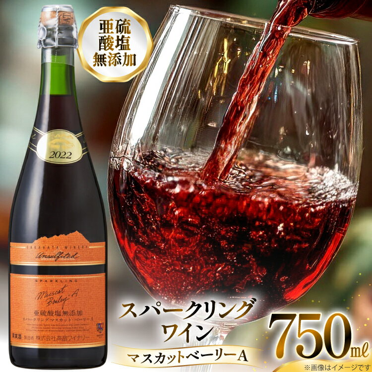 【ふるさと納税】スパークリング 高畠ワイナリー マスカットベーリーA 750ml [tk06ayt180128 山形県 高畠町 小田部商店] 亜硫酸塩 無添加 甘口 ライトボディ ワイン 赤ワイン 発泡 酒 お酒