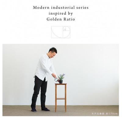 ふるさと納税 海南市 Golden フラワースタンド(花台) 幅30 aku1008207 |  | 02