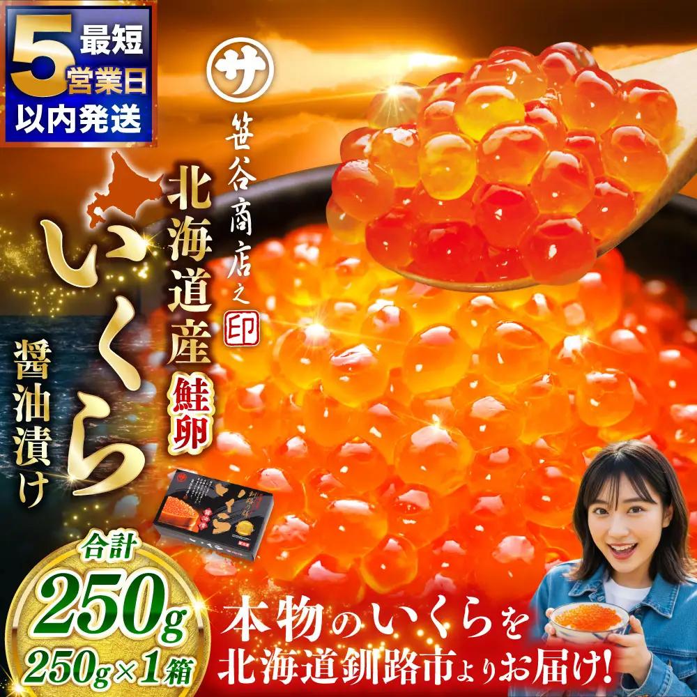 【5営業日以内発送】笹谷商店 新物 北海道産いくらしょう油漬250g ふるさと納税 いくら