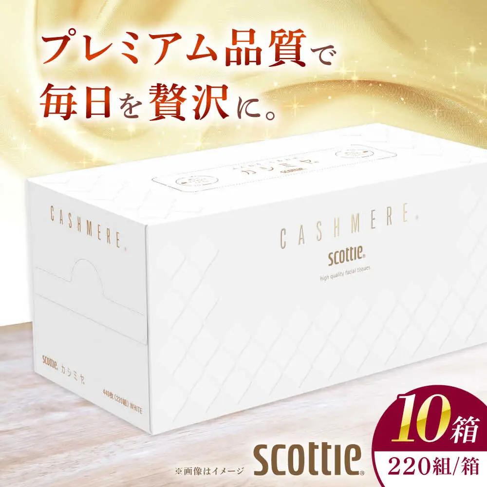 カシミヤスコッティ 10箱 ティッシュ ティッシュペーパー[BDAM020]