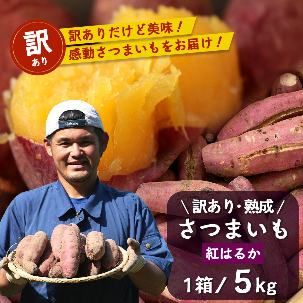 【ふるさと納税】訳あり 熟成 紅はるか 5kg (1箱 ) さつまいも 鹿児島県産【2025年11月下旬より順次発送】 FR-505