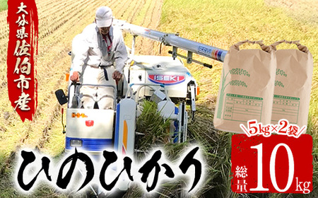 ＜令和6年産・新米＞大分ひのひかり(計10kg・5kg×2袋) 米 ひのひかり ヒノヒカリ 精米 白米 大分県産 大分県 佐伯市【AJ80】【 (有)ケーキ大使館クアンカ・ド－ネ】