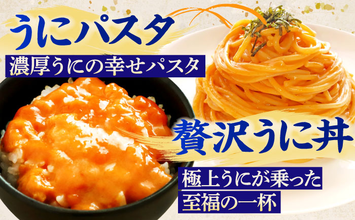 生うに 塩うに 食べ比べセット《壱岐市》【合同会社塚元】ムラサキウニ 生ウニ 塩ウニ 海産物 海鮮 ウニ うに 雲丹 珍味 冷凍配送 [JDR024]