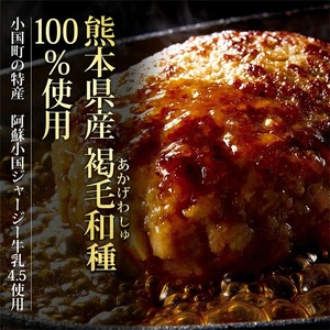 【阿蘇牧場】赤牛ハンバーグ 150g×10個 計1.5kg 1500g 熊本県産 褐毛和種 和牛100％ 阿蘇小国ジャージー4.5牛乳使用 大判 和牛ハンバーグ 小分け 個包装 焼くだけ簡単 冷凍 熊