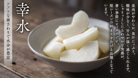 【 JA 北つくば 】 筑西ブランド 認証品 梨 3種 定期便 セット 15kg ( 幸水 豊水 にっこり ) 果物 フルーツ なし ナシ 和梨 [AE031ci]