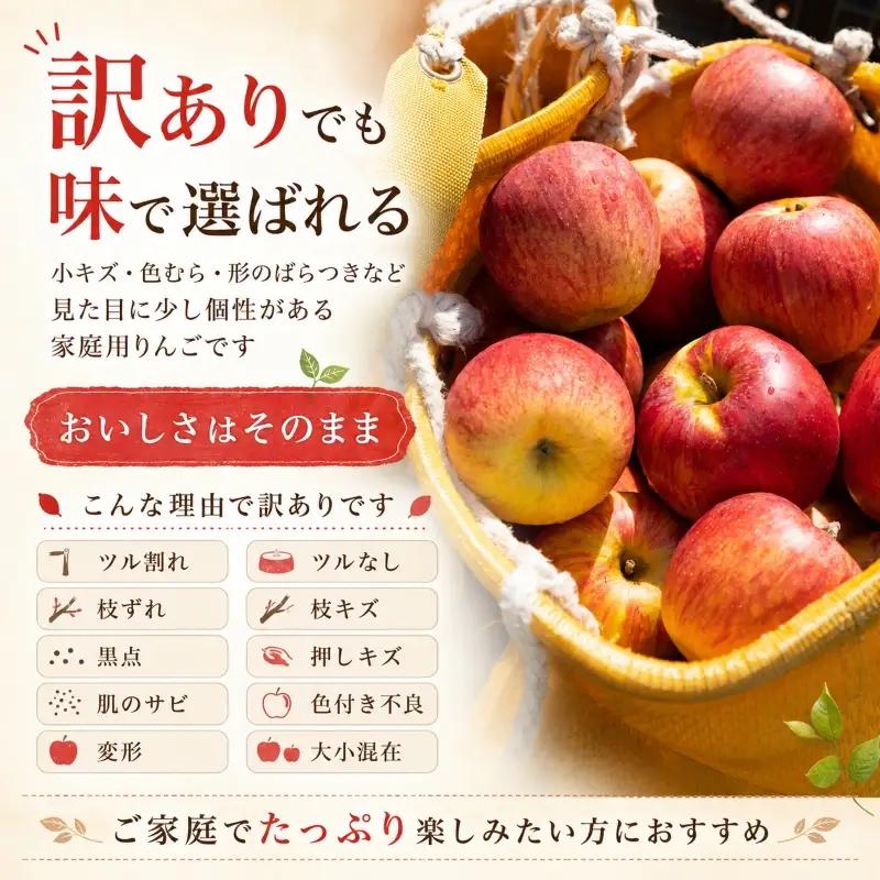 【先行予約】 訳あり 盛岡りんご 品種おまかせ 5kg 乙部角屋 りんご otobe006