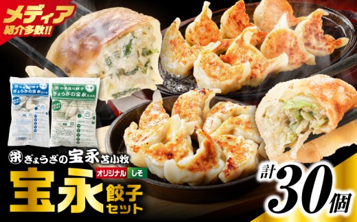 手包み餃子 ぎょうざの宝永 しそ餃子30個セット（宝永餃子15個入×1袋・しそ餃子15個入×1袋）　T004-004-02
