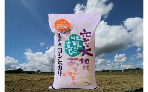 【新米先行受付 令和8年産】千葉県産コシヒカリ(精米) 10kg[10kg×1袋]G001