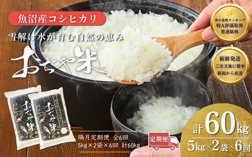 令和7年産 魚沼産コシヒカリ定期便 5kg×2袋×6回（隔月お届け）JA魚沼 白米 魚沼 米 定期便