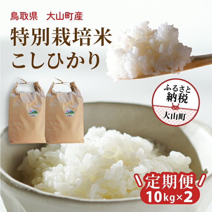 【ふるさと納税】 MR-17　減農薬・減化学肥料 特別栽培米こしひかり頒布会（白米10kg×2回） 鳥取県 鳥取県産 大山町 大山 大入り 料理 国産 鳥取 コシヒカリ こしひかり 大山産 定期便