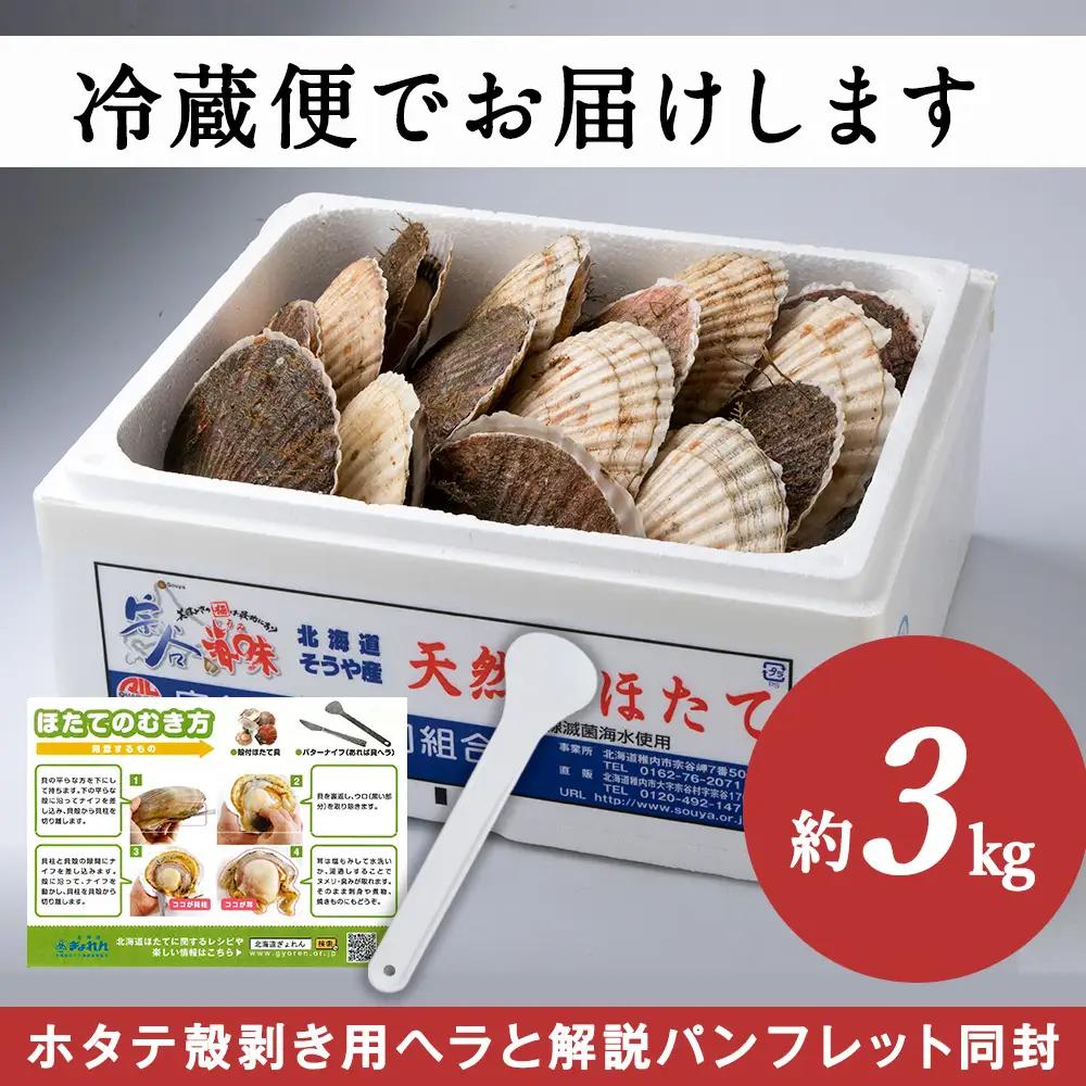 【先行受付】宗谷漁協発!産地直送!活ほたて約3kg(13～15枚入)刺身 海鮮【配送不可地域：離島・沖縄県】