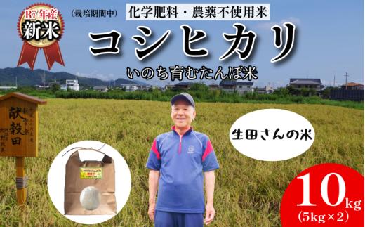 【令和7年産新米】米 コシヒカリ 10kg 天皇献上米 (栽培期間中）化学肥料・農薬不使用米 白米 精米 こめ  ご飯 備蓄米 ごはん 新米  環境 に優しい 小松島市 上王子特質米 10kg
