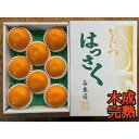 【ふるさと納税】木成完熟 紅はっさく 特秀 L × 8玉 または M × 10玉 サイズ 化粧箱 南泰園【2025年4月上旬～発送】