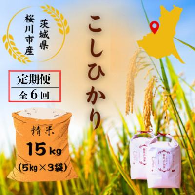ふるさと納税 桜川市 【毎月定期便】桜川市産こしひかり 計15kg(5kg×3袋)全6回